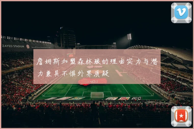詹姆斯加盟森林狼的理由实力与潜力兼具不惧外界质疑